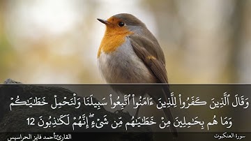 الصفحة 397 سورة العنكبوت بصوت القارئ المهندس أحمد فايز الحراسيس