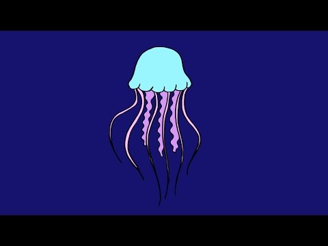 Vidéo: Comment Dessiner Une Méduse