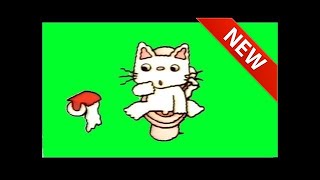 ノンタン アニメ はみがきはーみー❤歯磨き  アニメ おもちゃ