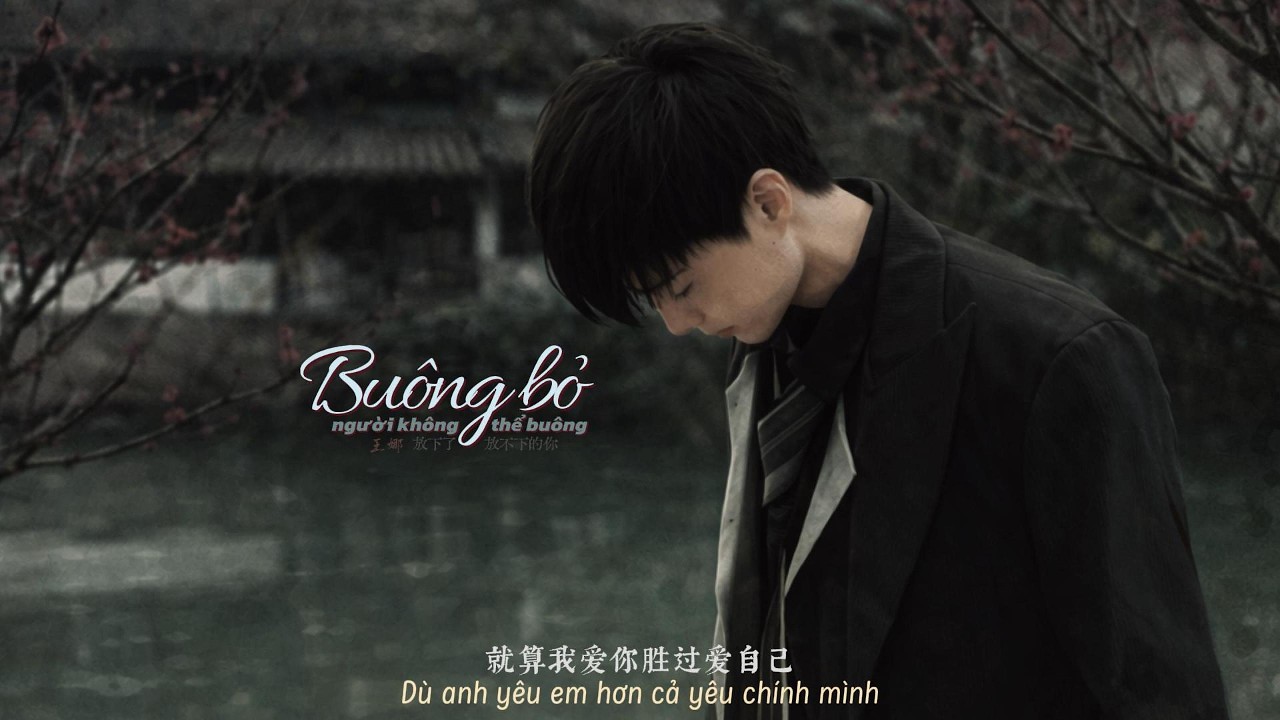 [Vietsub] Buông Bỏ Người Không Thể Buông (Bản bé trai) - Vương Na 放下了放不下的你(男童版) 王娜