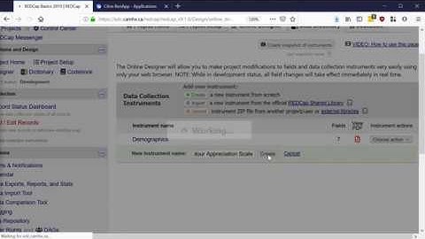 REDCap Basics: Designing your first project - Part 2