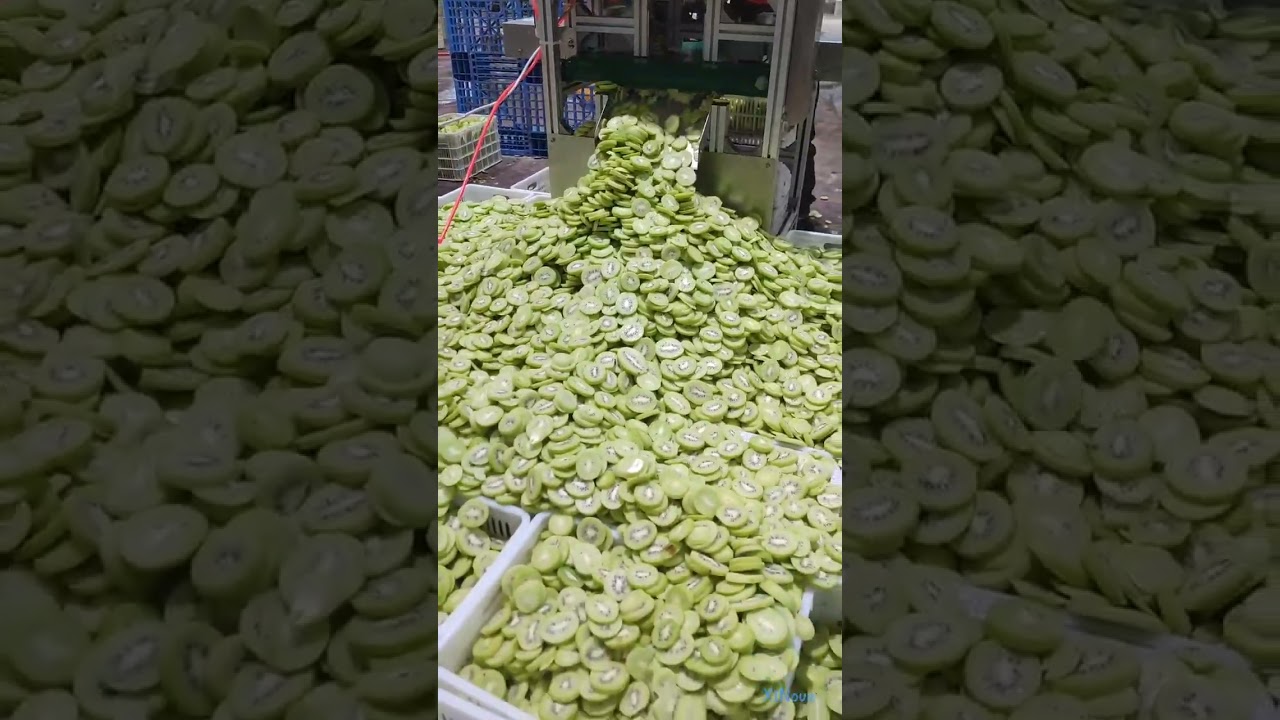 Fast kiwi fruit slicing machine for industrial use