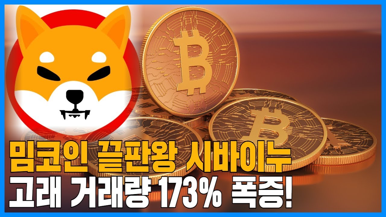 밈코인 끝판왕 시바이누SHIB 고래 거래량 173% 폭증!…무슨 일?
