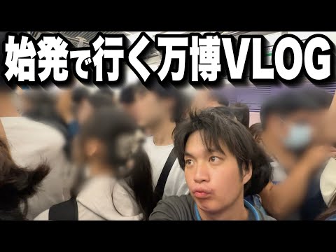 おまめTV🌱/まめちゃん - YouTube