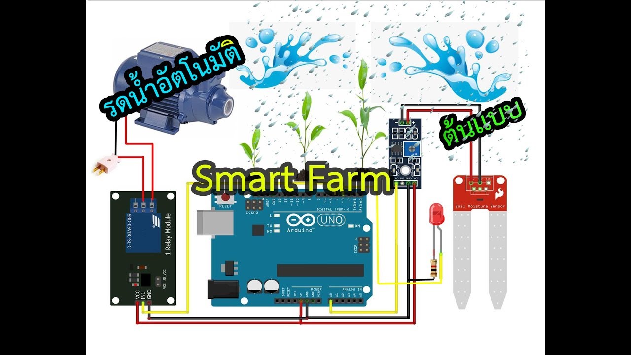 Smart Farm ด้วยเซ็นเซอร์วัดความชื้นในดิน (Arduino P.13)