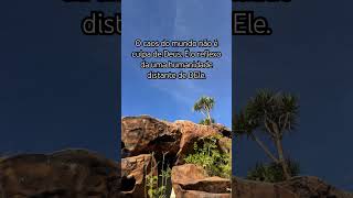 O caos …  #Fé #VidaComDeus #Pecado #ReflexãoCristã #Evangelho #shorts #respostas