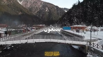 سورة النساء | آيه (27 - 28)، القارئ محمد اللحيدان.