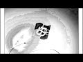 Windows 7 Startup Logon NOW MY VIDEO Effects In Black And White Chorded 