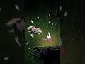 COMO PEGAR O CINTO PESADO NO HOLLOW KNIGHT SILKSONG #hollowknight #indiegame #games  #curiosidades