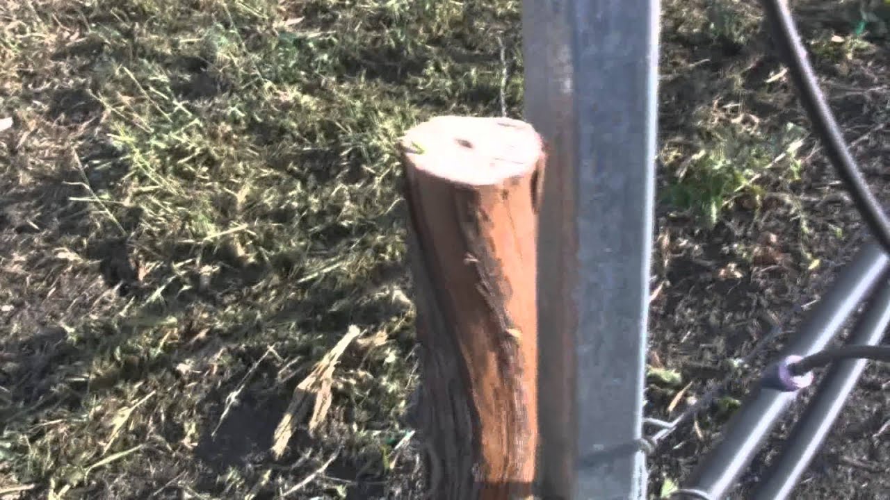 Vineyard Grafting 2013  #1