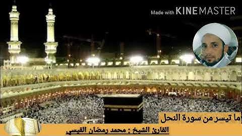ما تيسر من سورة النحل بصوت القارئ الشيخ محمد رمضان القيسي