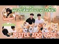 ท๊อฟ &amp; เตอร์ เที่ยวคาเฟ่สัตว์ใจกลางเมือง 🐶