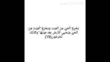 سورة الروم بصوت الشيخ عبدالرحمن مسعد