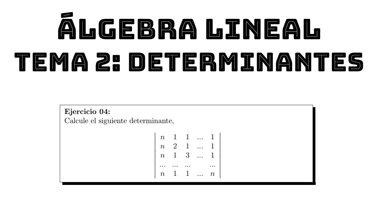 ejercicio 04 calculo de determinantes algebra lineal tema 2 determinantes matrices multiplication