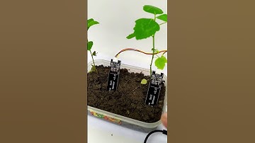 PENYIRAM TANAMAN OTOMATIS ARDUINO DENGAN SENSOR KELEMBABAN TANAH / SOIL MOISTURE SENSOR #arduino