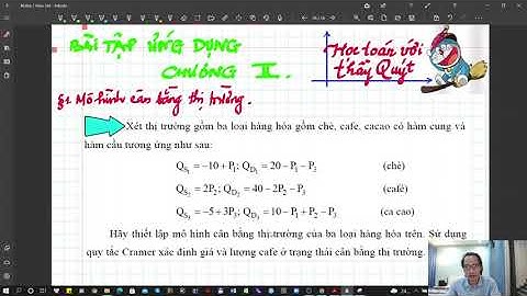 Ứng dụng kinh tế || Chương 2 || Mô hình cân bằng thị trường (P2)