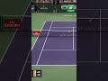 Novak Djokovic EPIC point vs. Juan Martin del Potro