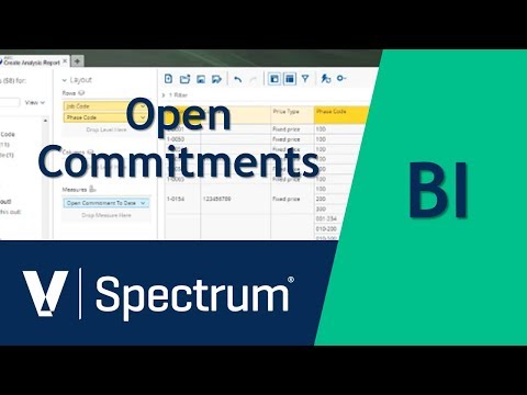 Spectrum BI Open Commitments