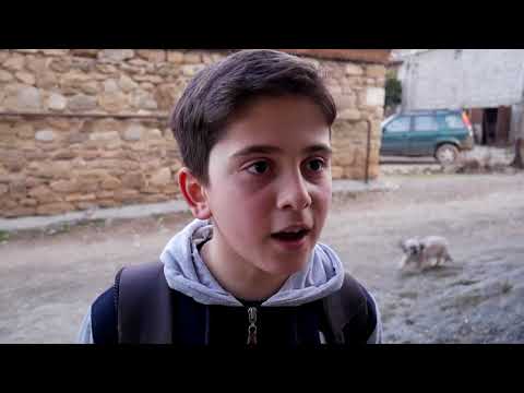 არასოდეს მიგატოვებ  -  ბუშეტის საჯარო სკოლა (თელავი) 2018