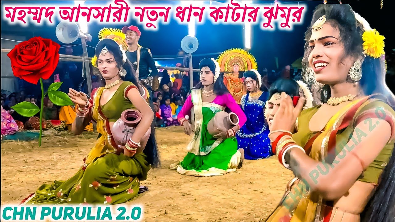 ধান কাটার একদম নতুন ঝুমুর 🔥 | Mohmmad Ansari New Jhumur Song | Sakhi Nach | Tapan Mahato Chhau Nach