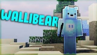 Wallibear says this phrase