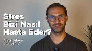 Stres Bizi Nasıl Hasta Eder ve Nasıl Şifaya Dönüşür?
