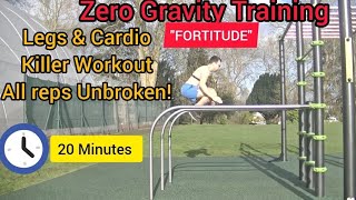FORTITUDE #remaster @Zero_gravity_training