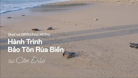 Shot On OPPO Find X9 Pro | Hành Trình Bảo Tồn Rùa Biển Tại Côn Đảo