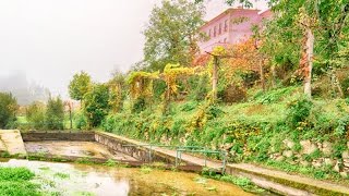 Praias Fluviais de Portugal - Aboim da Nóbrega
