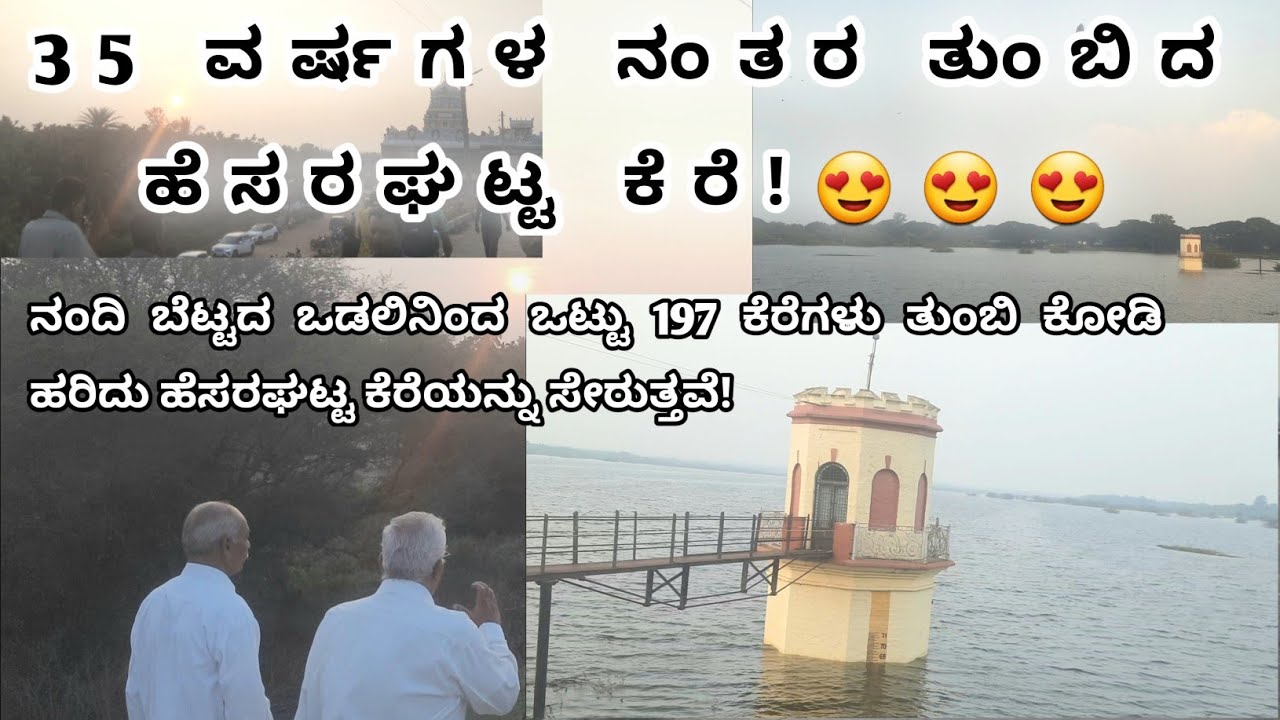Hesaragatta ಕೆರೆ #hesragattalake #hesaraghatta #bangalore #heavyrain #overflow #bengaluru