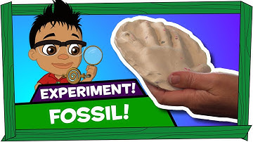 Kid Experiments: Fossil - Darwin and Newts