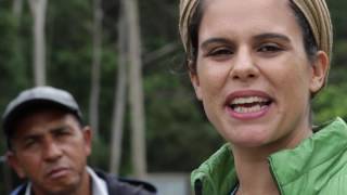 mãos na massa e pé na estrada hd 1080p