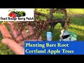 Planting Apple Trees, Cortland Apples🍎🌳 🌿