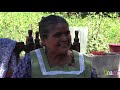 costumbres y tradiciones de mi pueblo san bernardo mixtepec