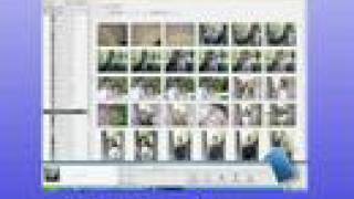 Picasa - Save Changes
