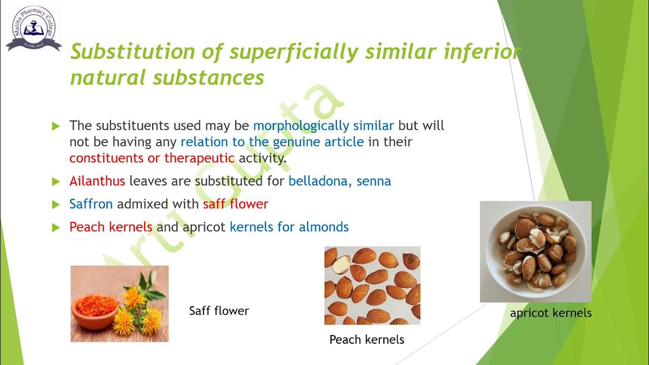 030020415 PHARMACOGNOSY AND PHYTOCHEMISTRY I (Quality control of drugs of natural origin) YouTube