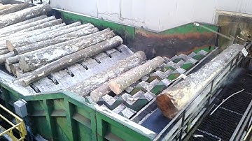 Sawmill Step Feeder
