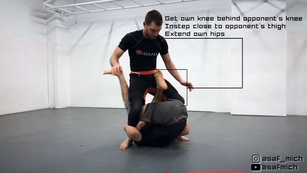 Kiss Of The Dragon Bjj