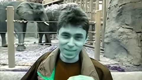 Rj Kumar Version of I Killed Me at the zoo 2020