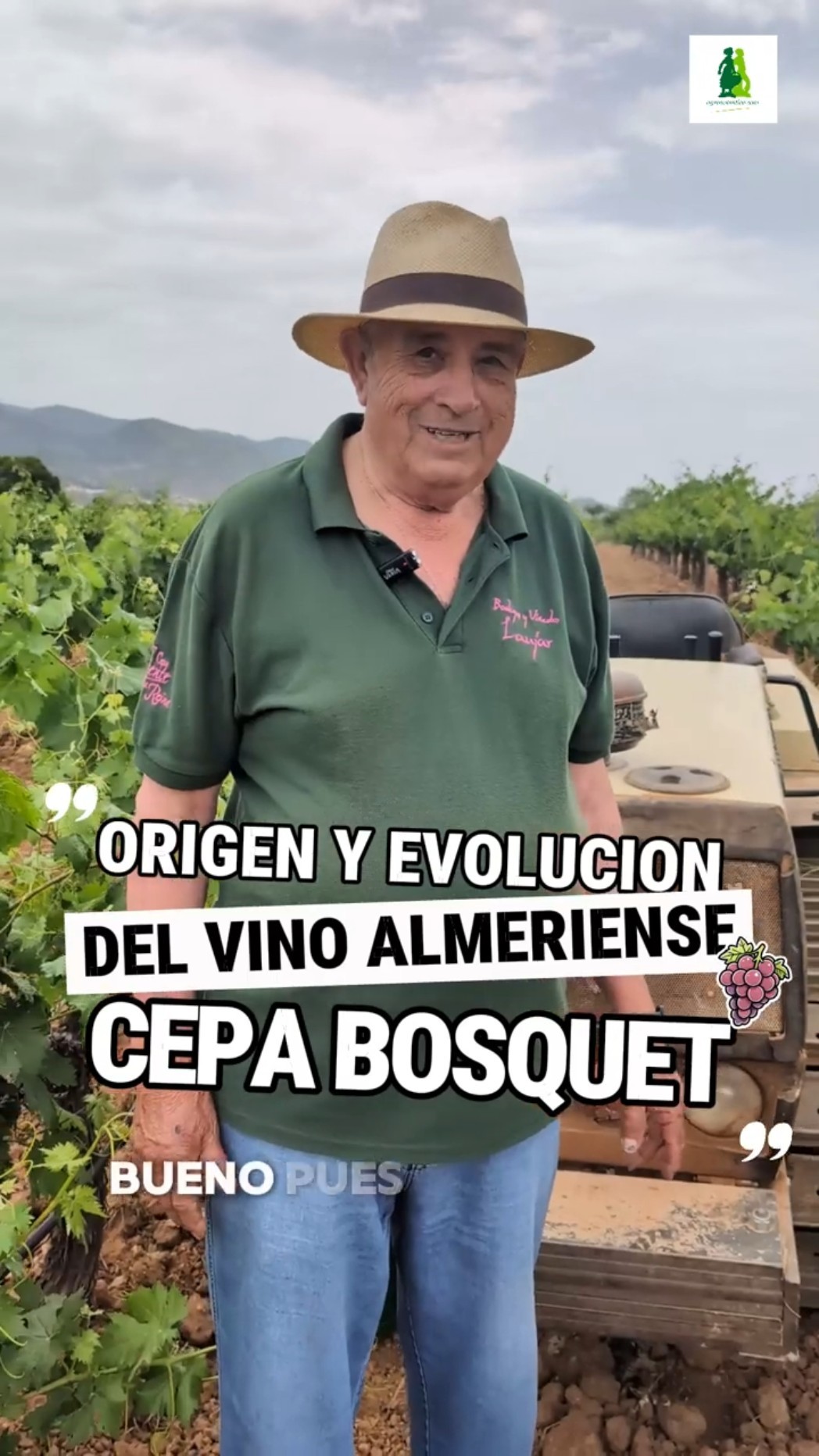 Origen y evolución del vino almeriense: Cepa Bosquet #bodegas