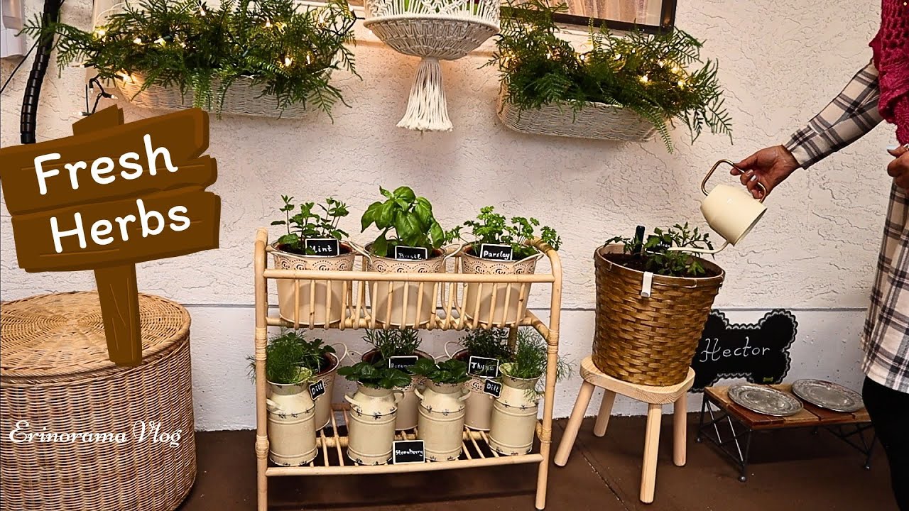 Start your own Herb Garden🌿From garden to table 🌿 Use fresh herbs in ...