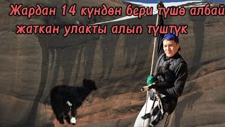 Жарда калган улакты куткардык/Жалал-Абад/Базар-Коргон/Кызыл-Ункур#Кыргызстан