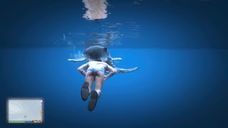 Grand Theft Auto V found a whale