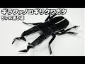 折り紙でギラファノコギリクワガタの折り方 リアルで立体 三枚での作り方です 少し難しいけど必ずできます 7月 8月 9月 夏のおりがみ 折り紙でギラファノコギリクワガタの折り方 リアルで立体 三枚での作り方です 少し難しいけど必ずできます 7月 8月 9月 夏のおりがみ