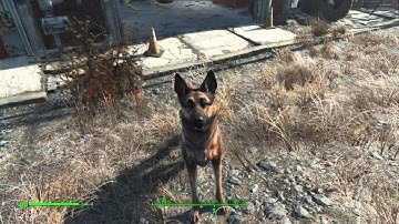Fallout 4 Gameplay - Meeting Dogmeat