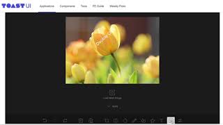 Issue tui.image editor