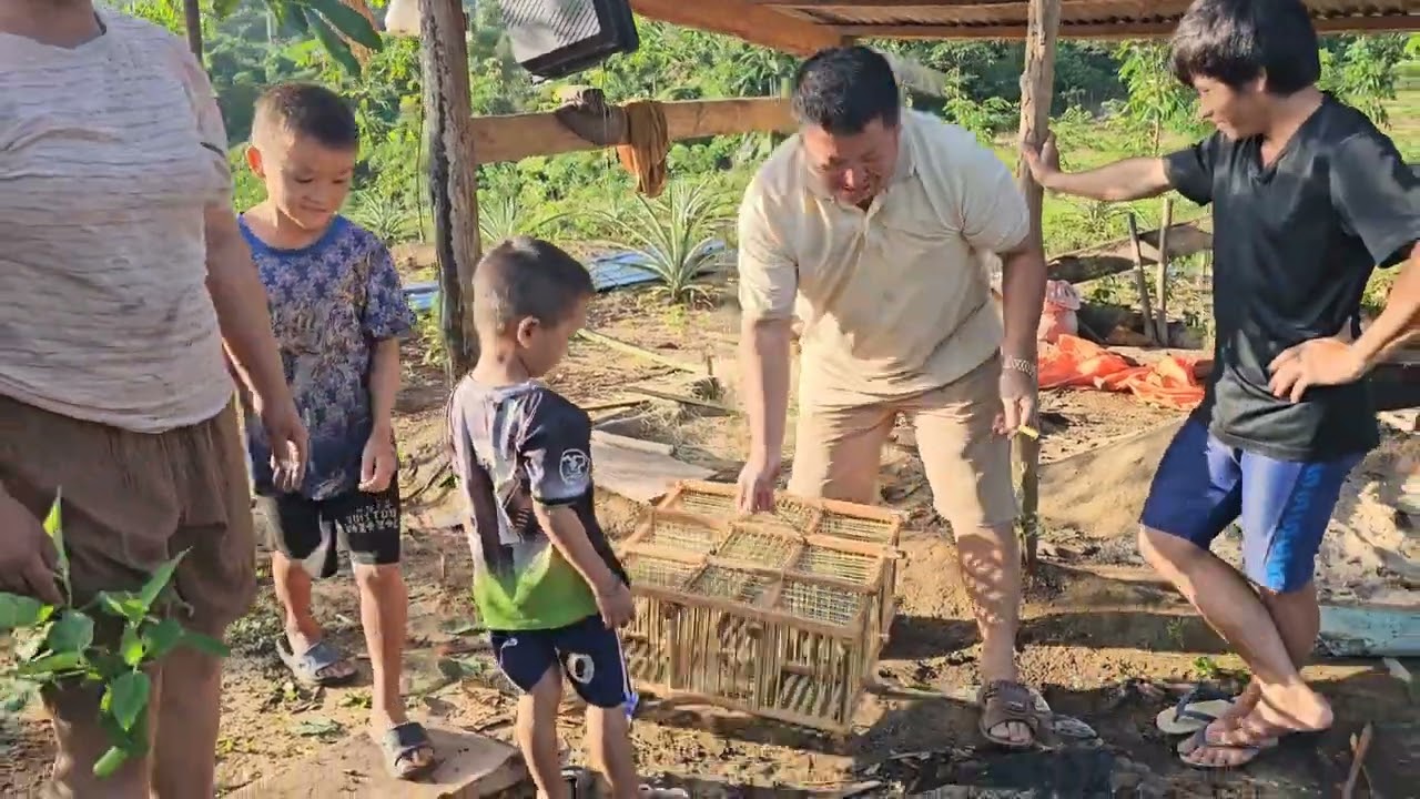 Vauv phiab fiab pob tawb piv 