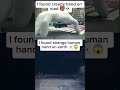 Found the most dangerous hand  on earth ☠️😱 #marinemystery #shorts #googleearth