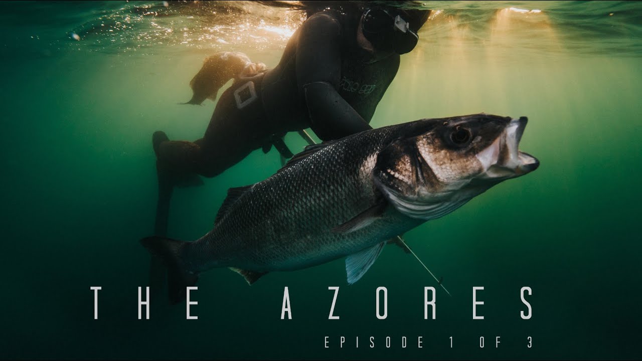 Подводная охота на материковой части Португалии и Азорских островах — морской окунь, лобстер, дли...