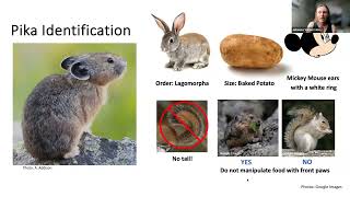 Pika Patrol Trip Leader Training:  How to Identify Pikas and Pika Sign